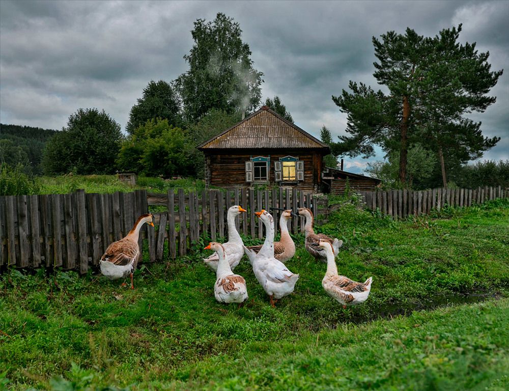 Photograph by Александр Гусаков