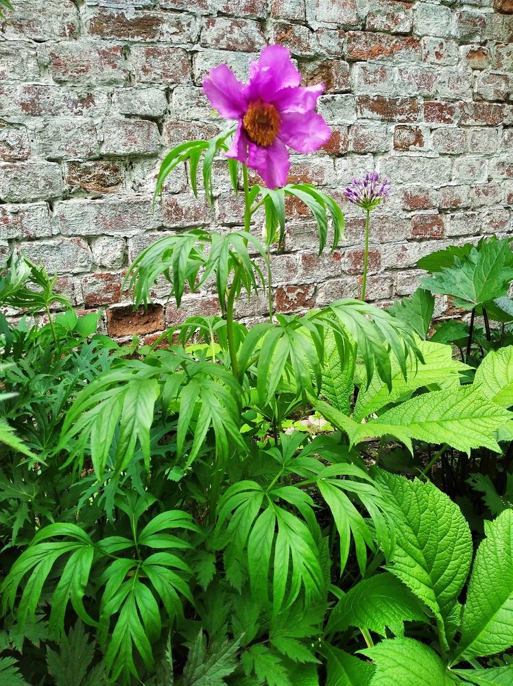 Photograph by Анна Виноградова