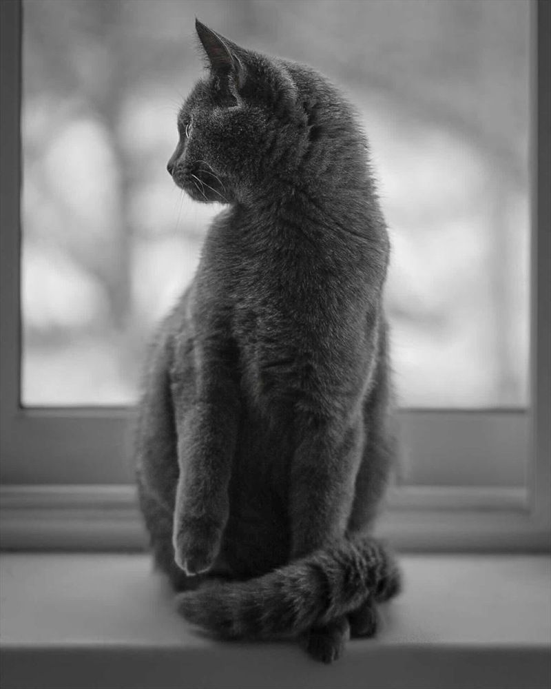 Photograph by Татьяна Гринько