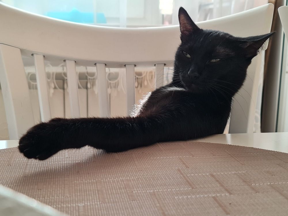 Photograph by фид зон