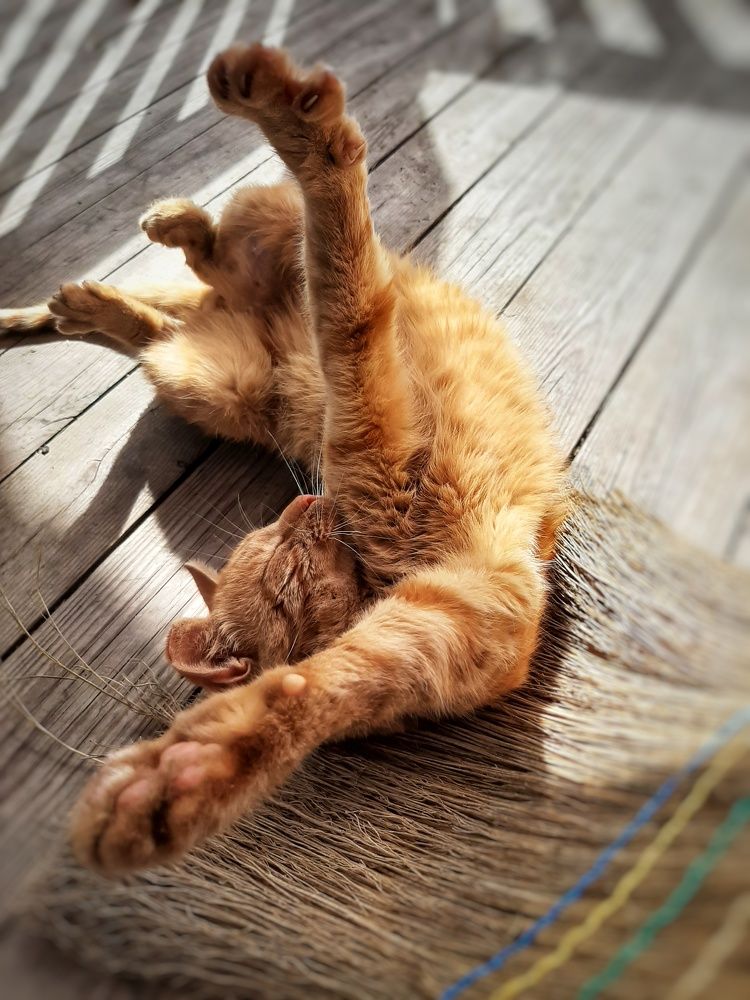 Photograph by Кристина Тарутина