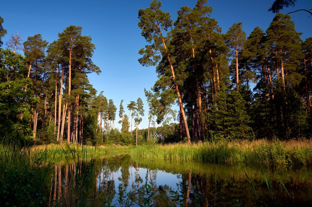 Photograph by Владимир Греков