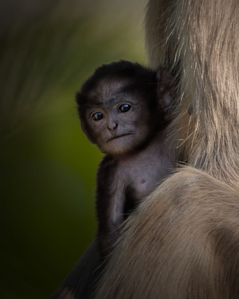 Photograph by Chaitanya Dudhalkar