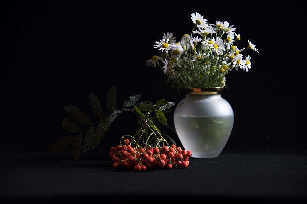 Photograph by Svetlana Khromova