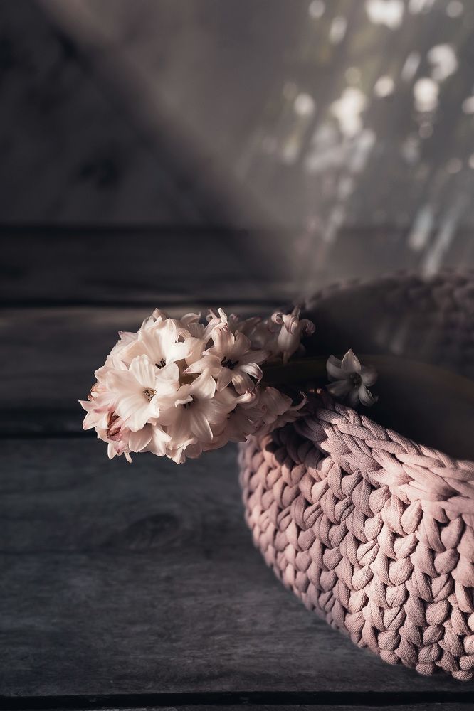 Фотография автора Альбина Кадочникова