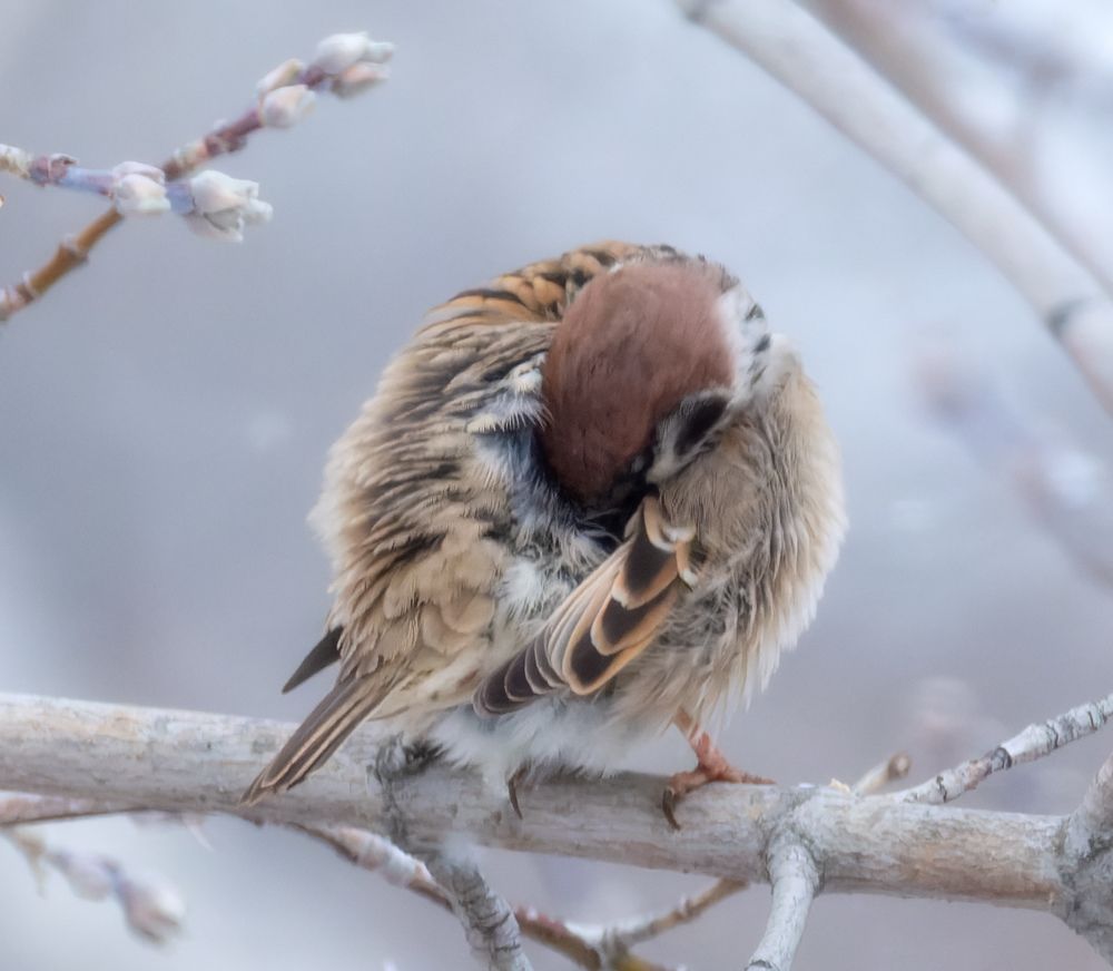 Photograph by Леонтьев Константин