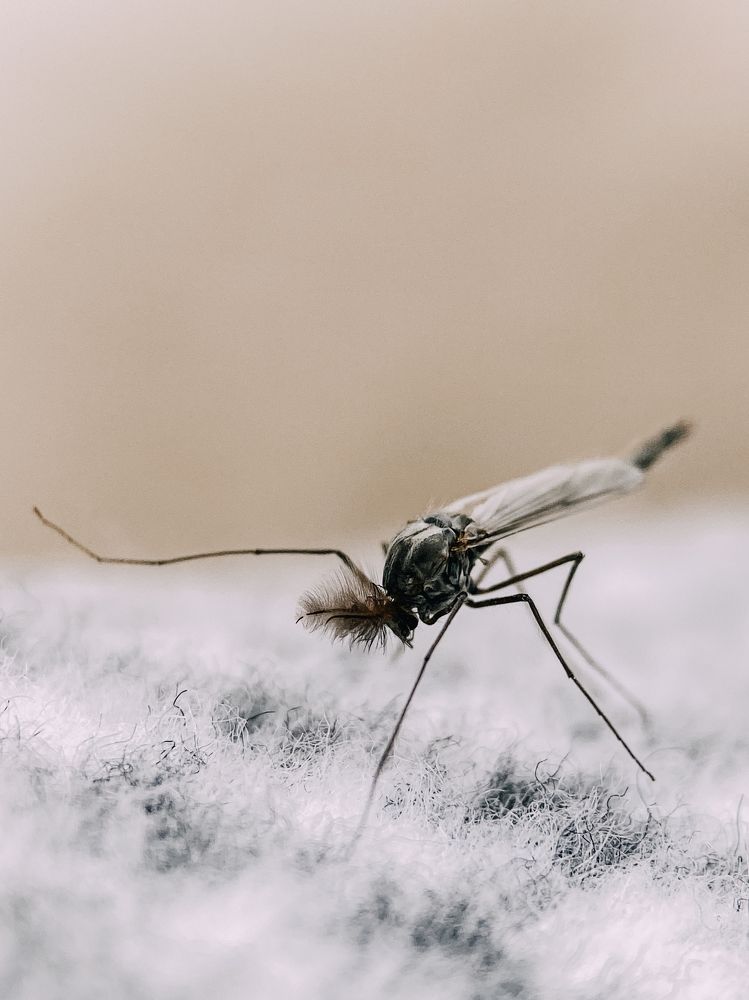 Photograph by Екатерина Бердутина