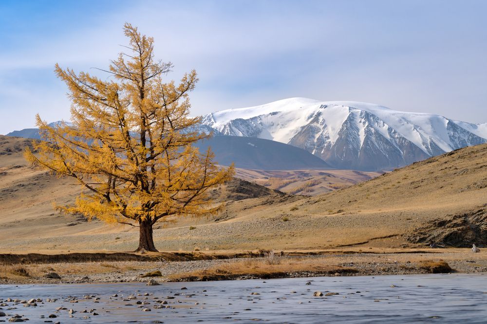 Photograph by Леонтьев Константин