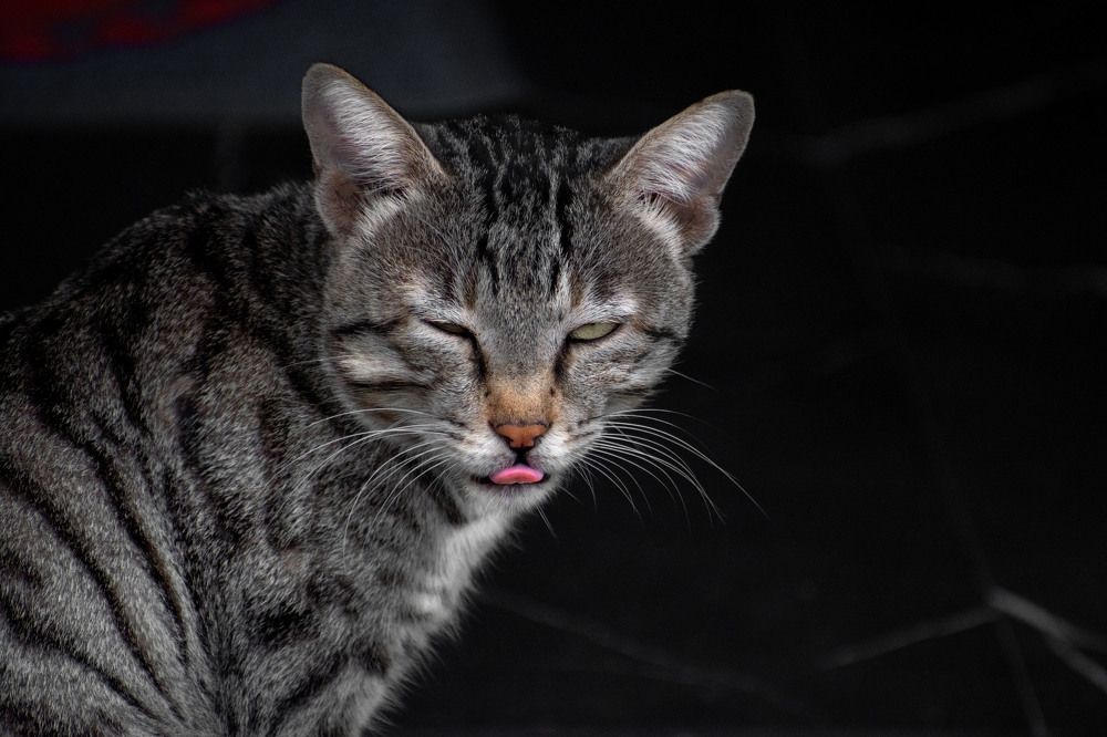 Photograph by Chaitanya Dudhalkar