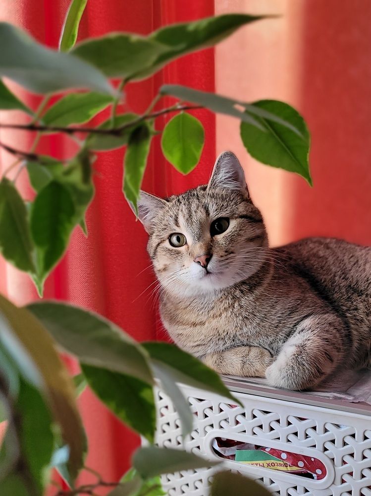 Photograph by Светлана Гаранина