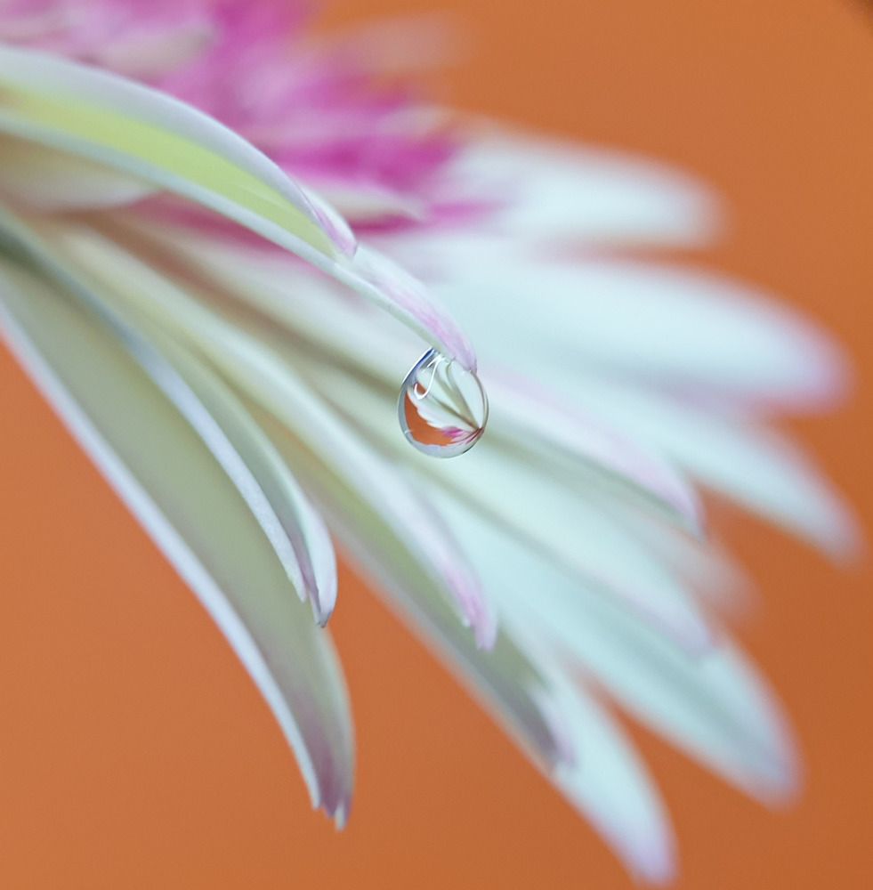 Photograph by NGUYEN LIEN