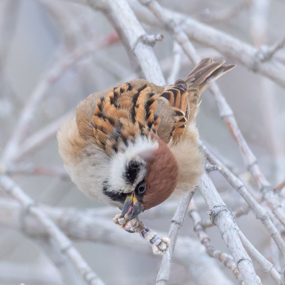 Photograph by Леонтьев Константин