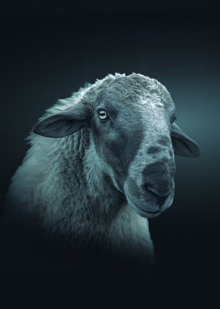 Photograph by Peter Seitler