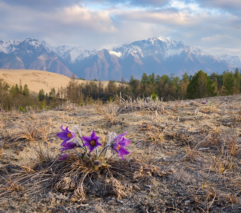 Photograph by Леонтьев Константин