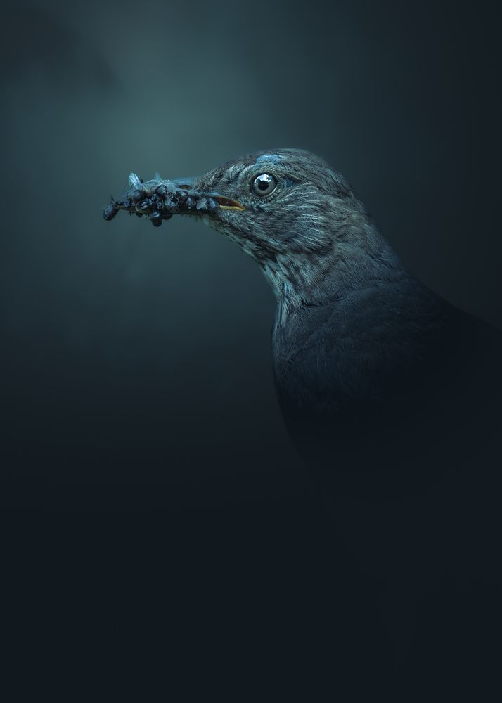 Photograph by Peter Seitler