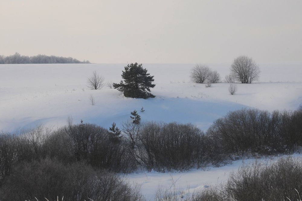 Photograph by Владимир