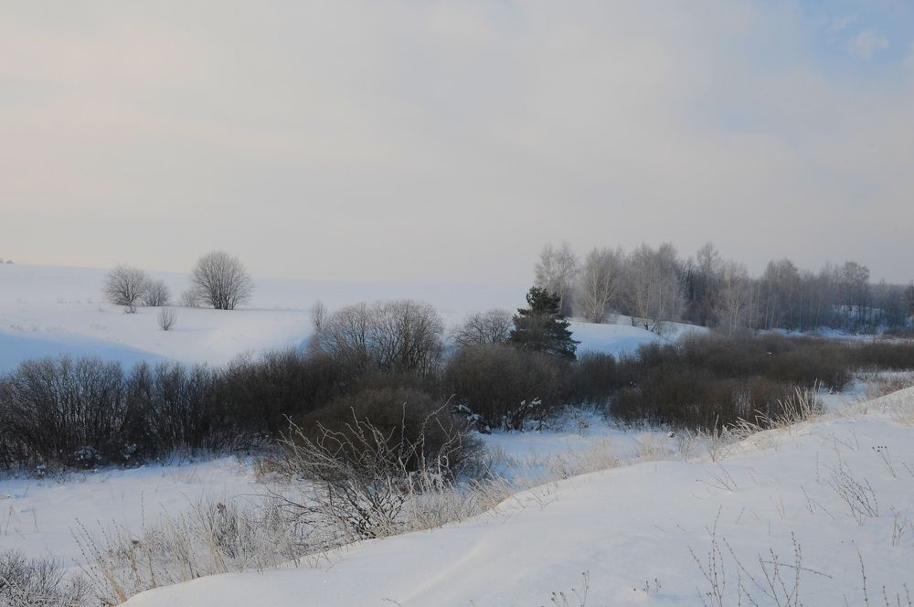 Photograph by Владимир