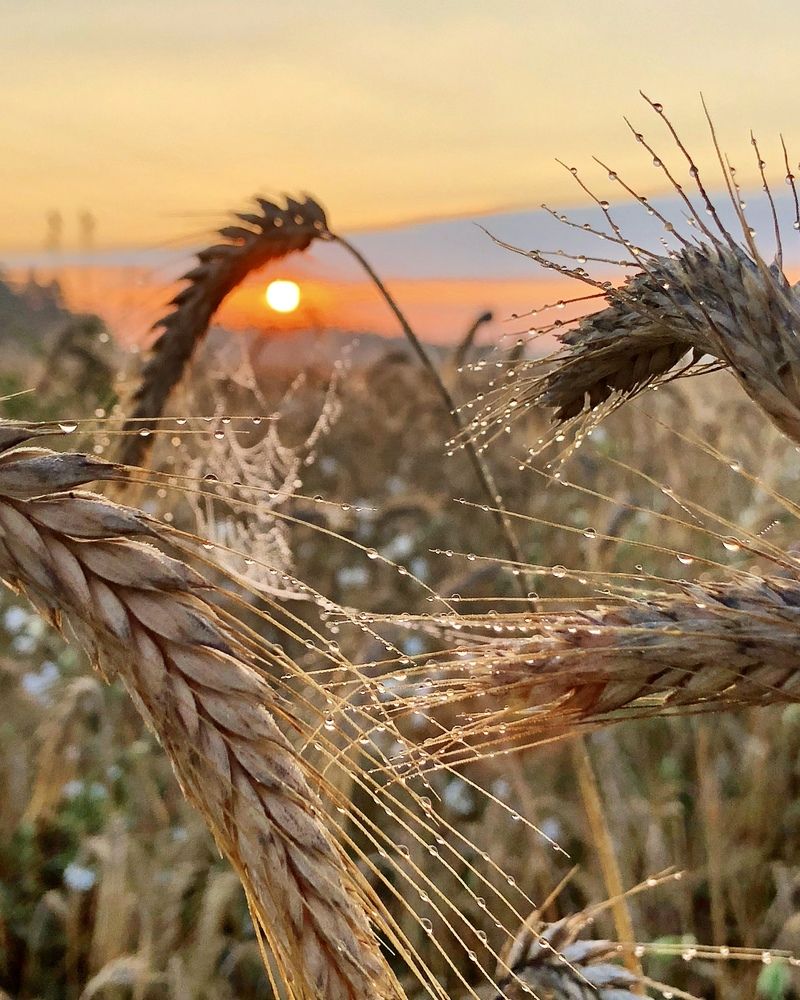 Photograph by Лариса Акинчиц