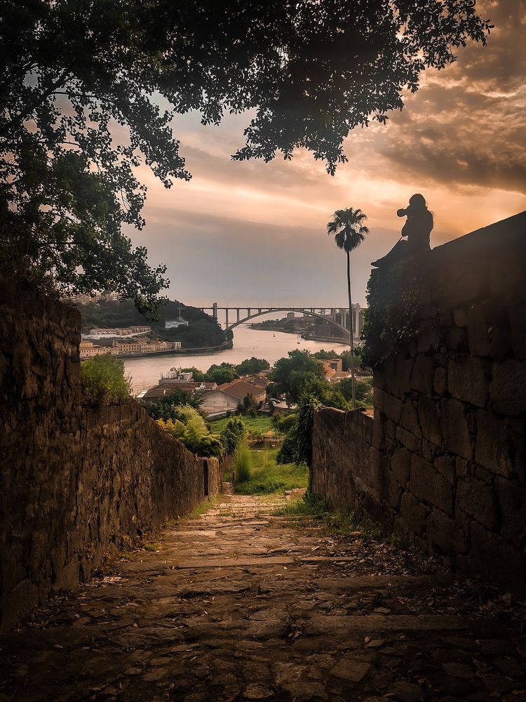 Photograph by Daniel