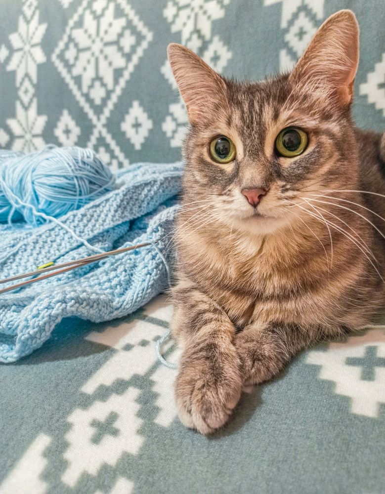 Photograph by Ольга Ситникова