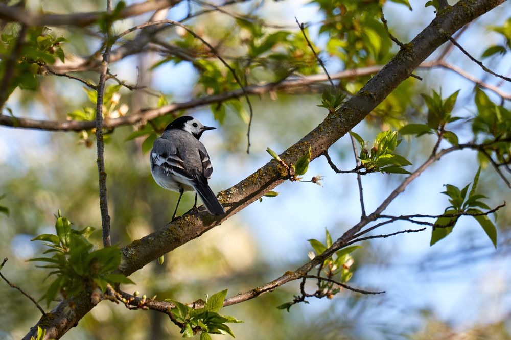 Photograph by Андрей Востриков