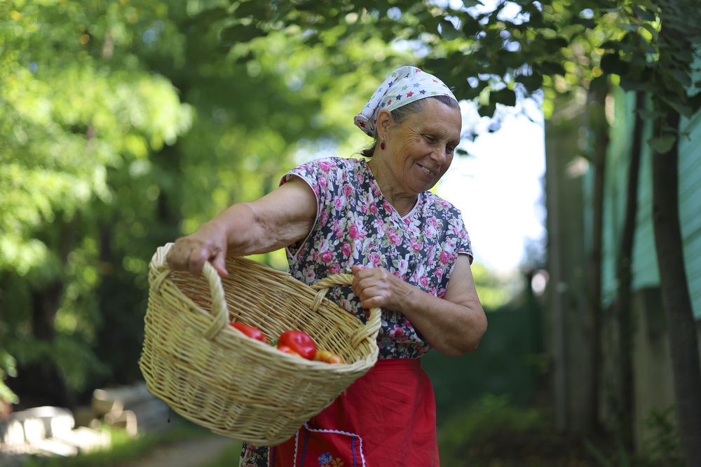 Фотография автора Мария Стратан