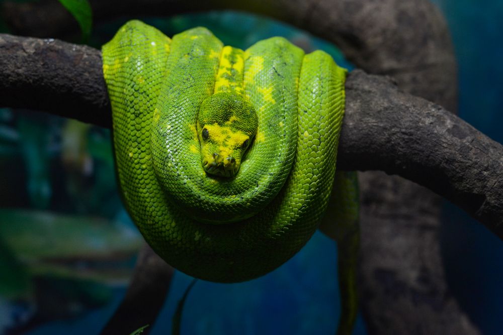 Photograph by Андрей Мозговой