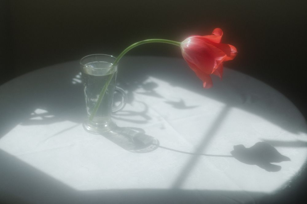 Photograph by Алена Евгеньевна