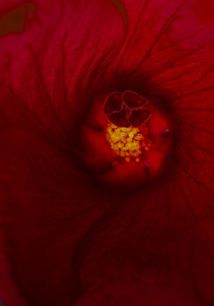 Фотография автора Arijit Mondal