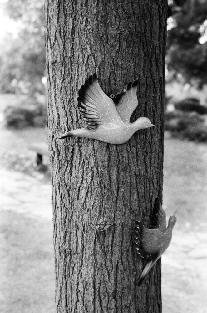 Photograph by Андрей Арама