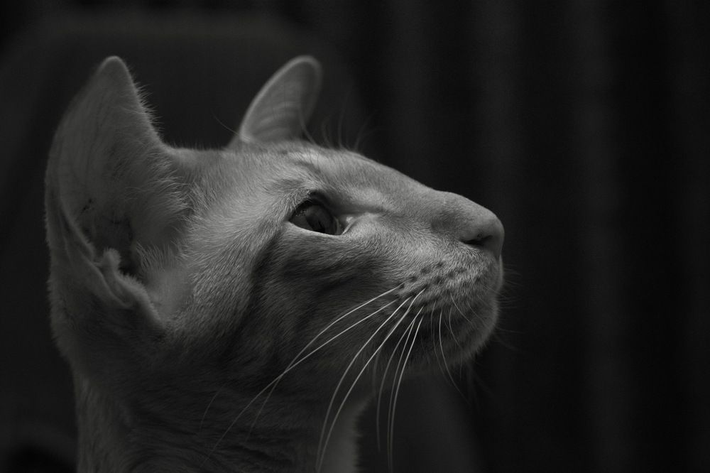 Photograph by 