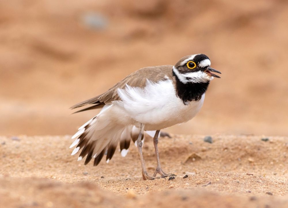 Photograph by Павел Краснослободцев