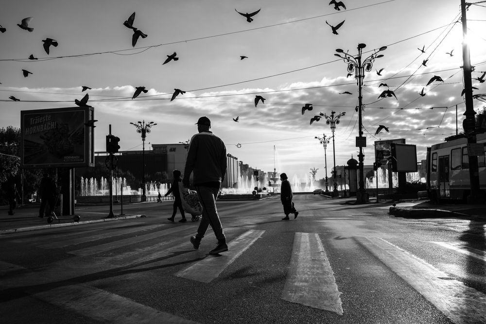 Photograph by Manolache Vlad