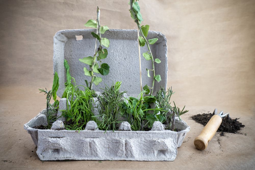 Photograph by Berin Aydin