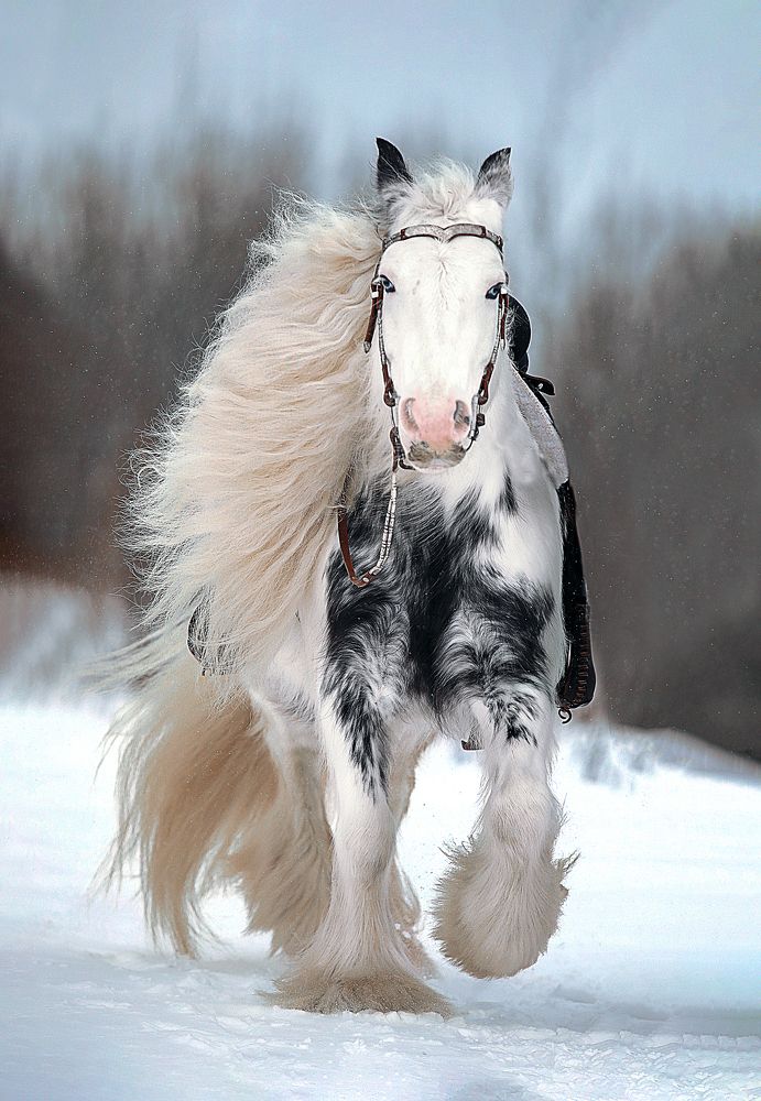 Photograph by Алина Жук