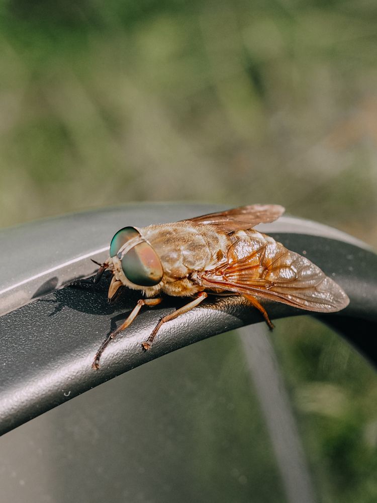 Photograph by Екатерина Бердутина