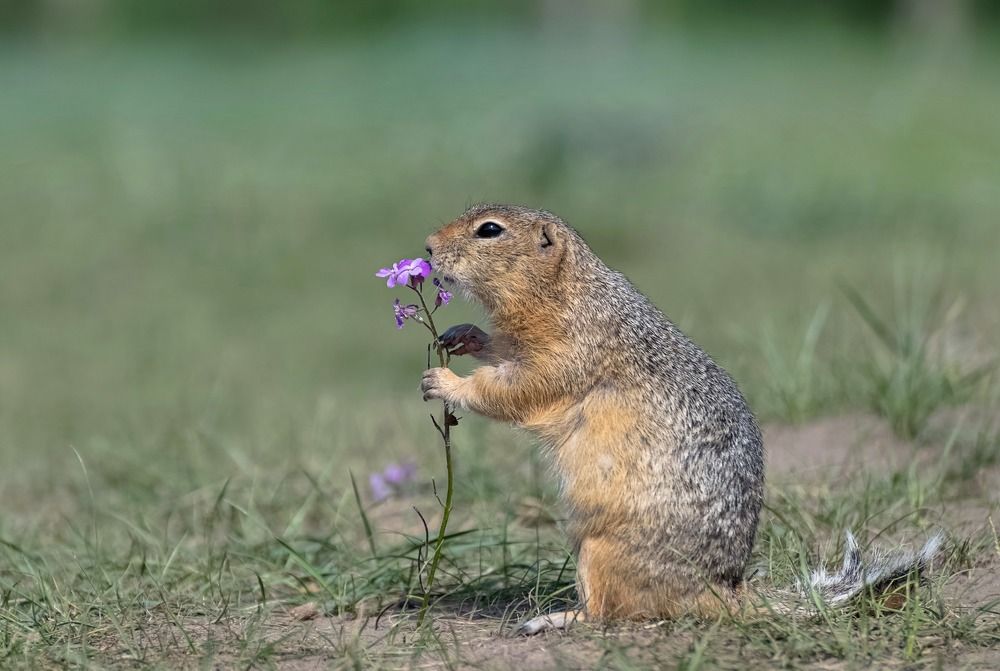 Первое свидание