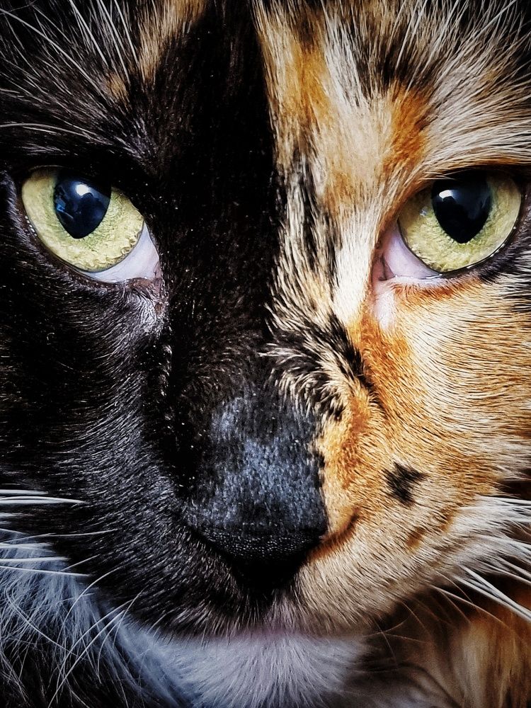 Фотография автора Дана Богинская