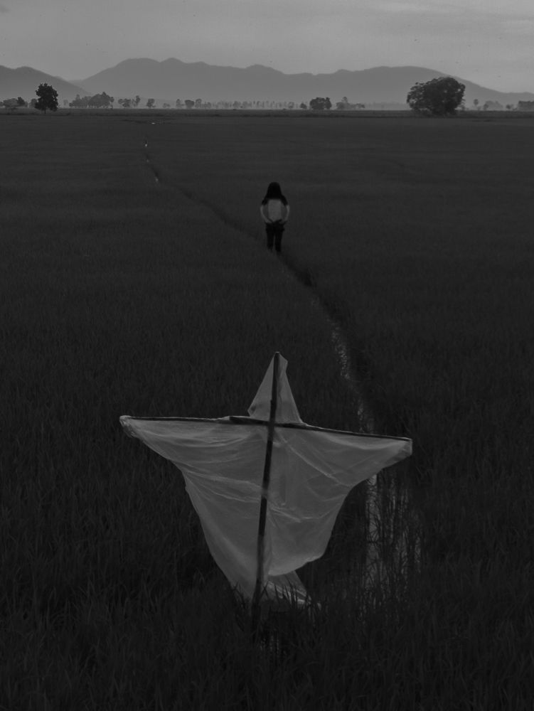 Rice comes from farmers