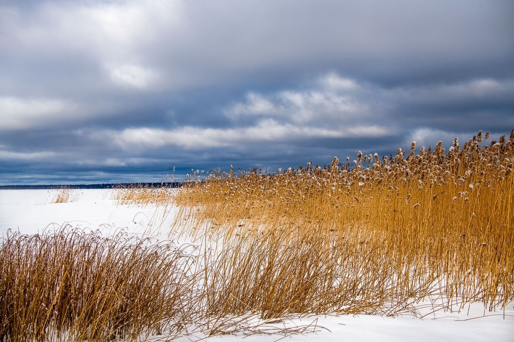 Photograph by Кунин Илья