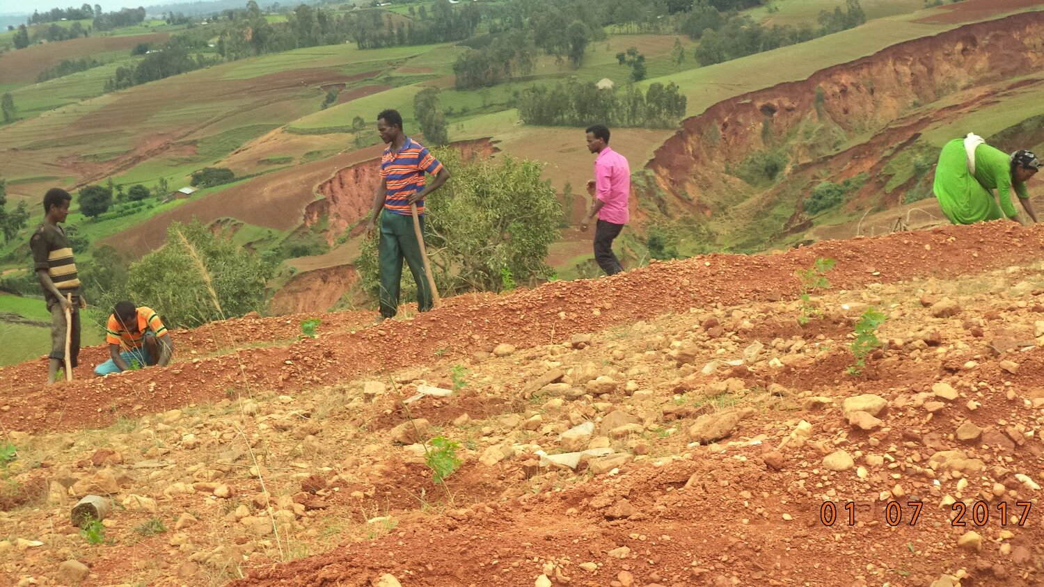 Landscape management