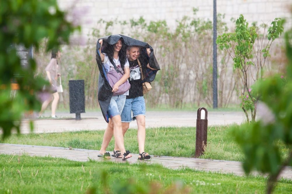 Просто дождик