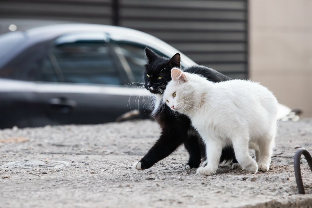 Photograph by Пирязев Алексей