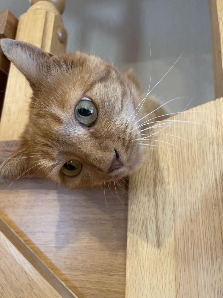 Photograph by Александр Мокров