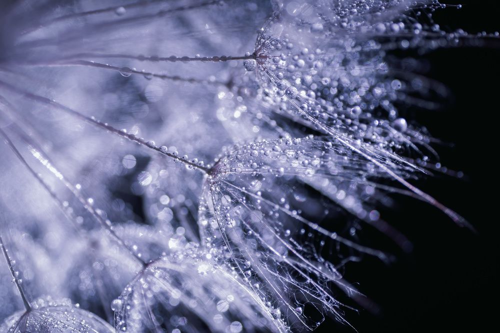 Photograph by Анна Бобкова