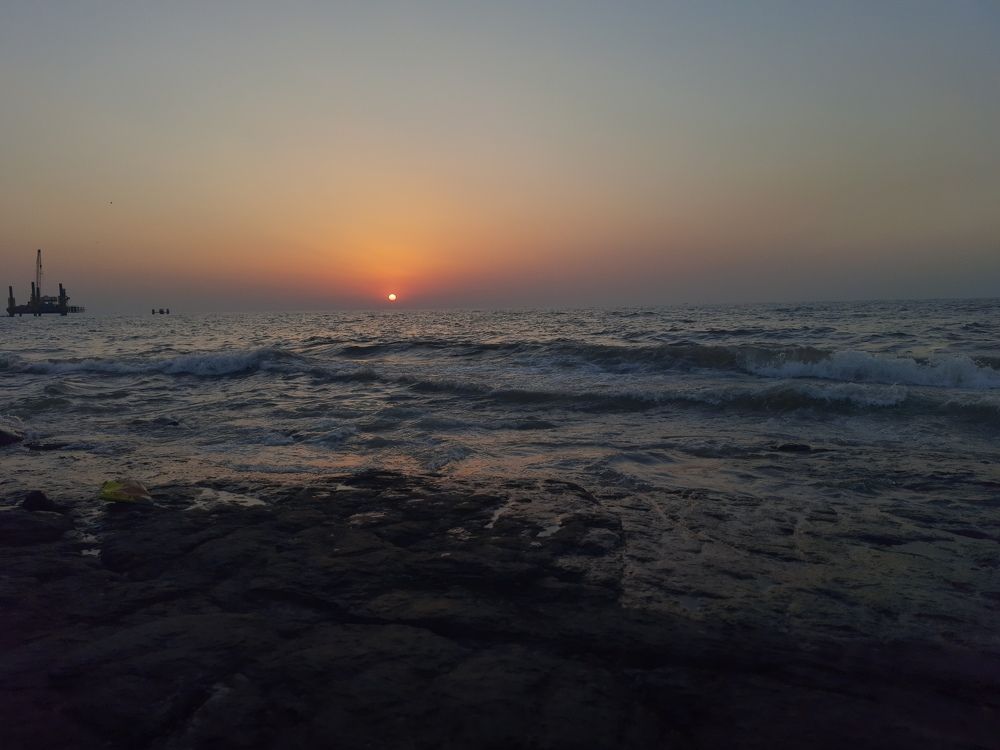 Photo #8878837