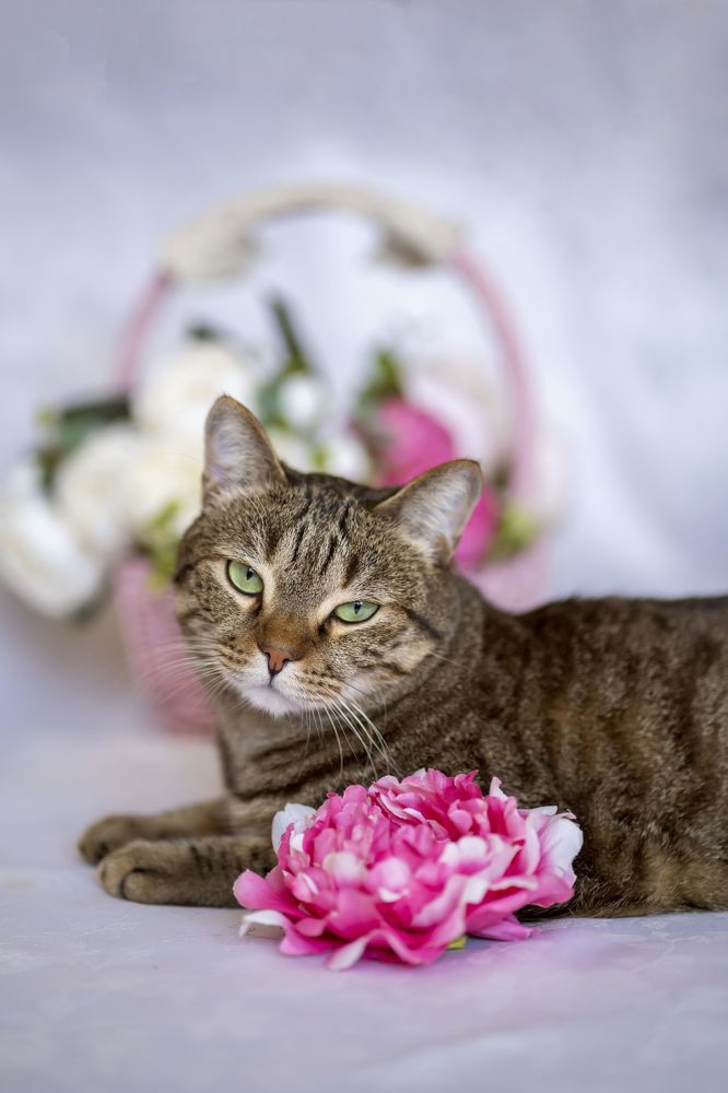 Photograph by Анна Гриневич