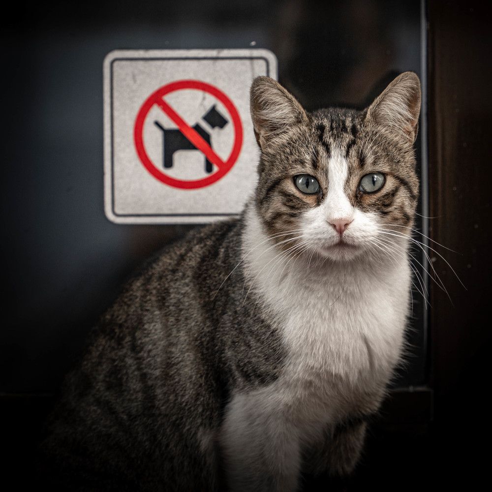 Photograph by Таймураз Гумеров