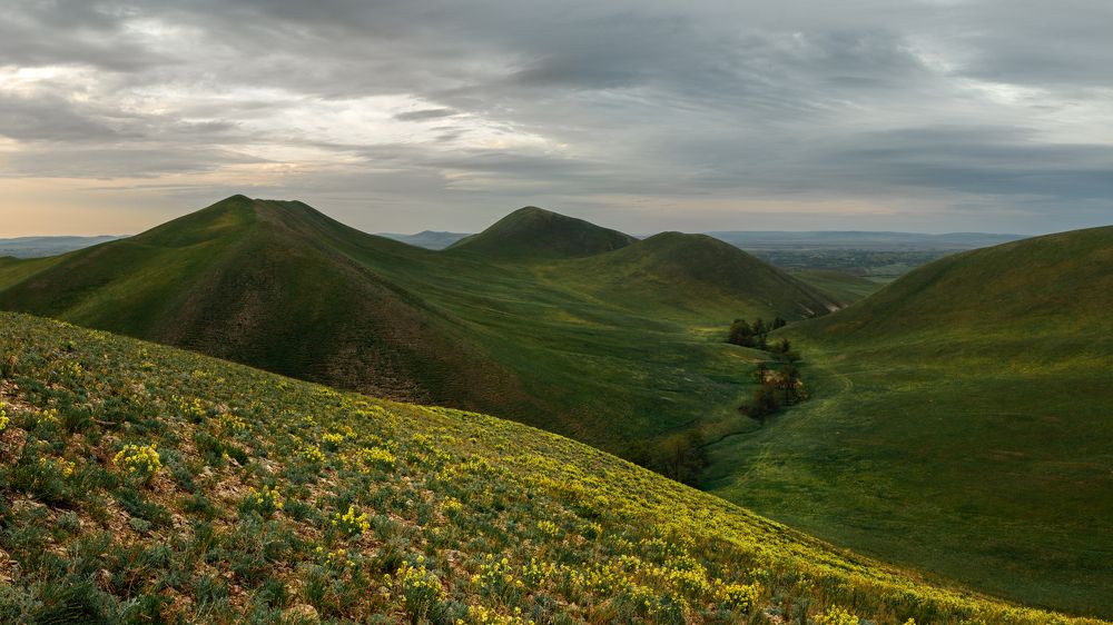 Photograph by Vyacheslav Bolyakin