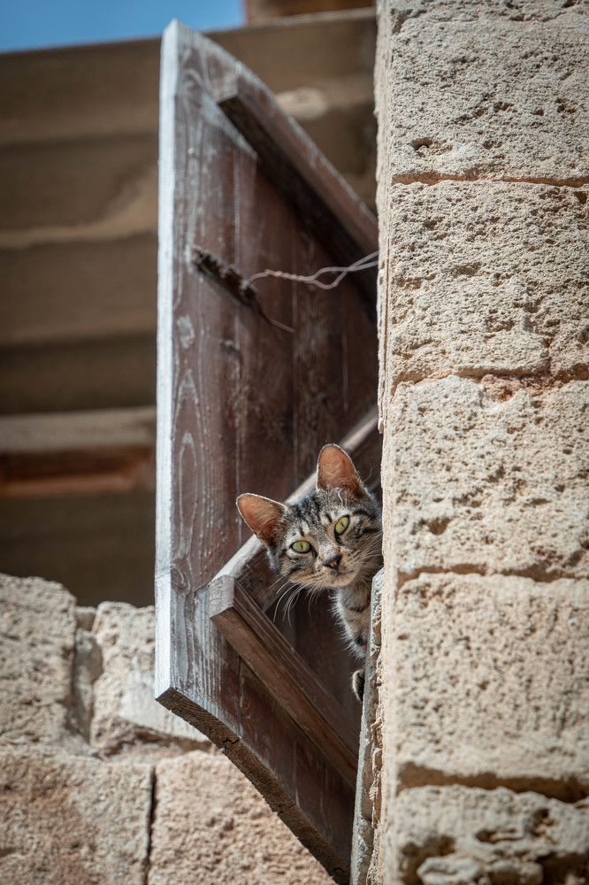 Photograph by Таймураз Гумеров